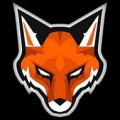 FoxteamYT