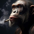 Der Affe