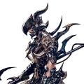 Shin