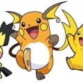 RAICHU3901