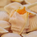 OvoMole