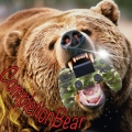CompletionBear
