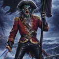 Nasty Pirate