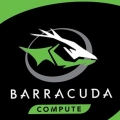 Barracuda