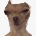 ImNot4rchy