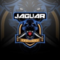 jaguar_noir