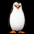 Pinguin Rico