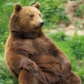 Lugga
