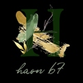 haon 67
