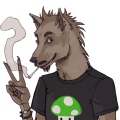 Loup1670
