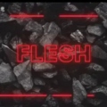 Flesh