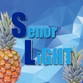 SenorLiGHT