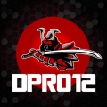 Dpro12