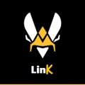 LinK