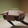 Victarion