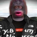 monke