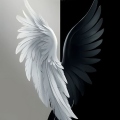 Angel V2
