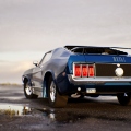 Hawk_eyes42