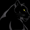 panther