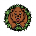 WeediBear