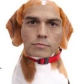 ImGiovaah