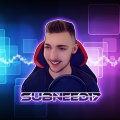 Subneed17