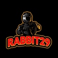rabbit29