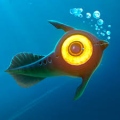 Noxuto