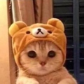 Sir. Belialuin