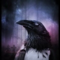 GoG-RaVeN