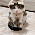Sevket G&ouml;ksu