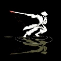 IlSamurai89