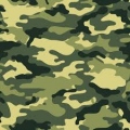 CamoOne1
