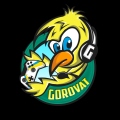 Gorovat