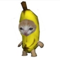 BananaCat