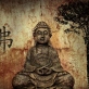 dvd10