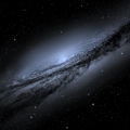 Wahid rt