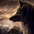 Lonewolf