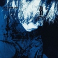 SillyHols