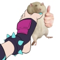 Xander