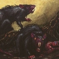 Ratking00