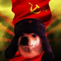 SovietDog7754