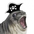 Pirate Seal