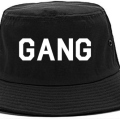 Gangvision