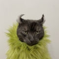 YoinkySploinky