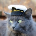 CaptainNya