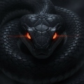 Czarna . Mamba