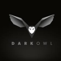 Dark_Owl
