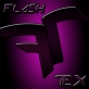 FlashTex