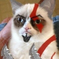 ツMitzuツ